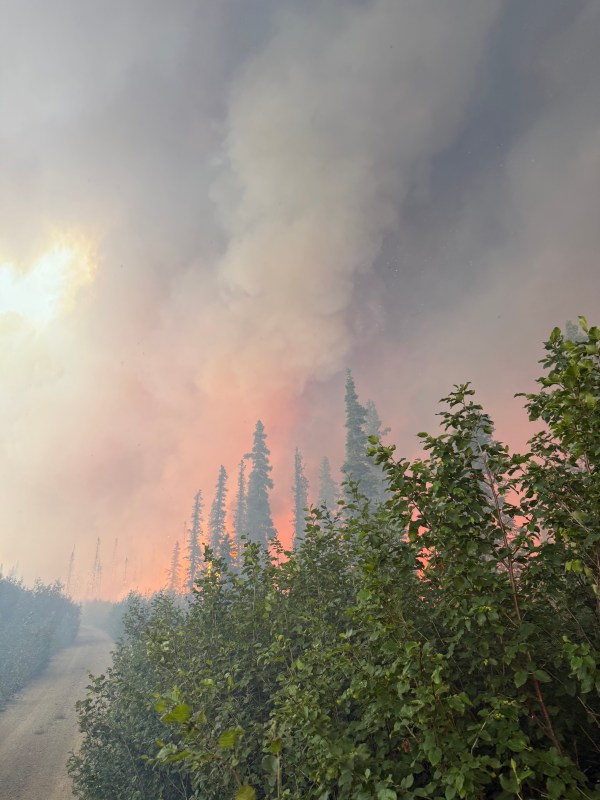 Fire burns in the background of silhouetted trees with lots of smoke in the air 