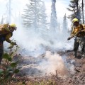 Two fire fighters use a backpack pump to spray water on a hot spot during mop up