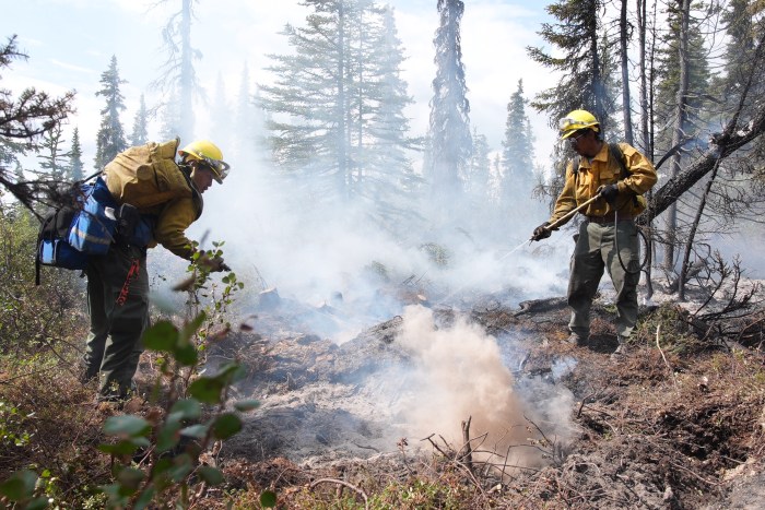 Two fire fighters use a backpack pump to spray water on a hot spot during mop up