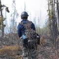 A firefighter looks over the burned area on the Nelchina Glacier Fire.