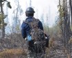 A firefighter looks over the burned area on the Nelchina Glacier Fire.