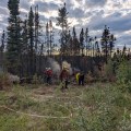 A group of wildland firefighters in a forest working to dig up and bury hot spots and ashes
