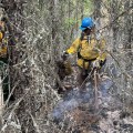 A firefighter in full personal protective equipment is framed by burned out and slightly smoking vegetation