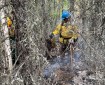 A firefighter in full personal protective equipment is framed by burned out and slightly smoking vegetation