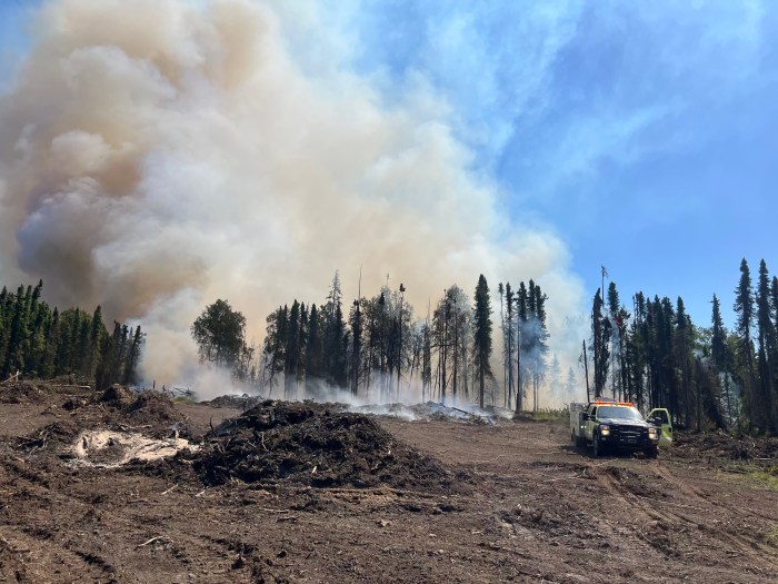 Smoke envelops a stand of trees as a fire crew arrives on scene