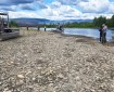 Several people are standing next to two boats on a gravel riverbed.
