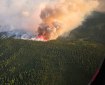 A large smoke plume rises above a thickly forested area.