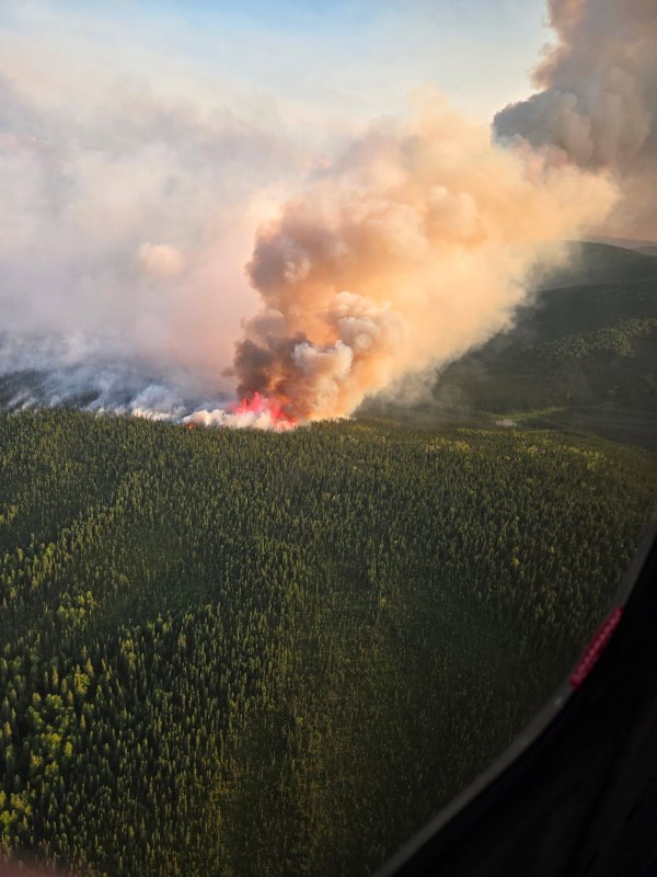 A large smoke plume rises above a thickly forested area.