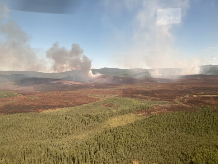 Aerial view of smoke rising from the ground near a burn scar in a forested area
