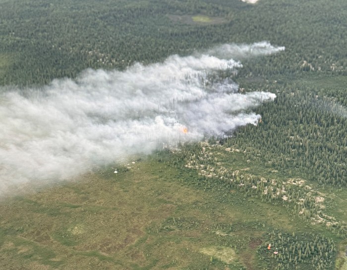 Smoke wafting up from a fire burning through a green tundra. There is a tree torching in flames and two parachutes on the ground.
