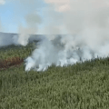 Aerial view of smoke billows upward on the leading edge of a wildfire burning through forested mountain slopes