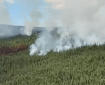 Aerial view of smoke billows upward on the leading edge of a wildfire burning through forested mountain slopes