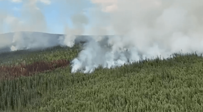 Aerial view of smoke billows upward on the leading edge of a wildfire burning through forested mountain slopes