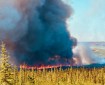 A line of flames engulfs trees with dark clouds of billowing smoke