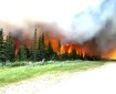 Flames from a wildfire engulf trees and approach a dirt road as smoke billows above