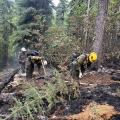 The Vista Grande crew is working in a burned area along the Parks Highway, feeling for heat as they mop up and remove hazard trees.