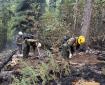 The Vista Grande crew is working in a burned area along the Parks Highway, feeling for heat as they mop up and remove hazard trees.