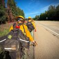 Wildland firefighters wearing personal protective equipment, handtools and line gear walk away from the camera along the side of a highway. The highway is on their right side and a densely forested area in on their left side. The trees lead into the horizon of the photo against a blue sky.