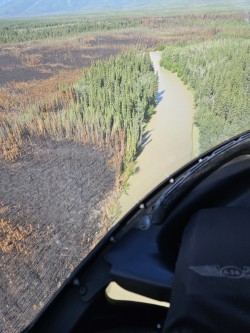A view of burned forest from a helicopter