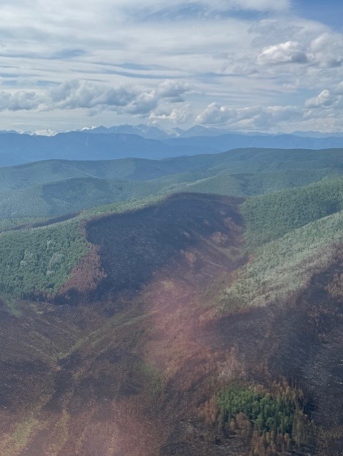 Aerial Photo of the Twelvemile Fire