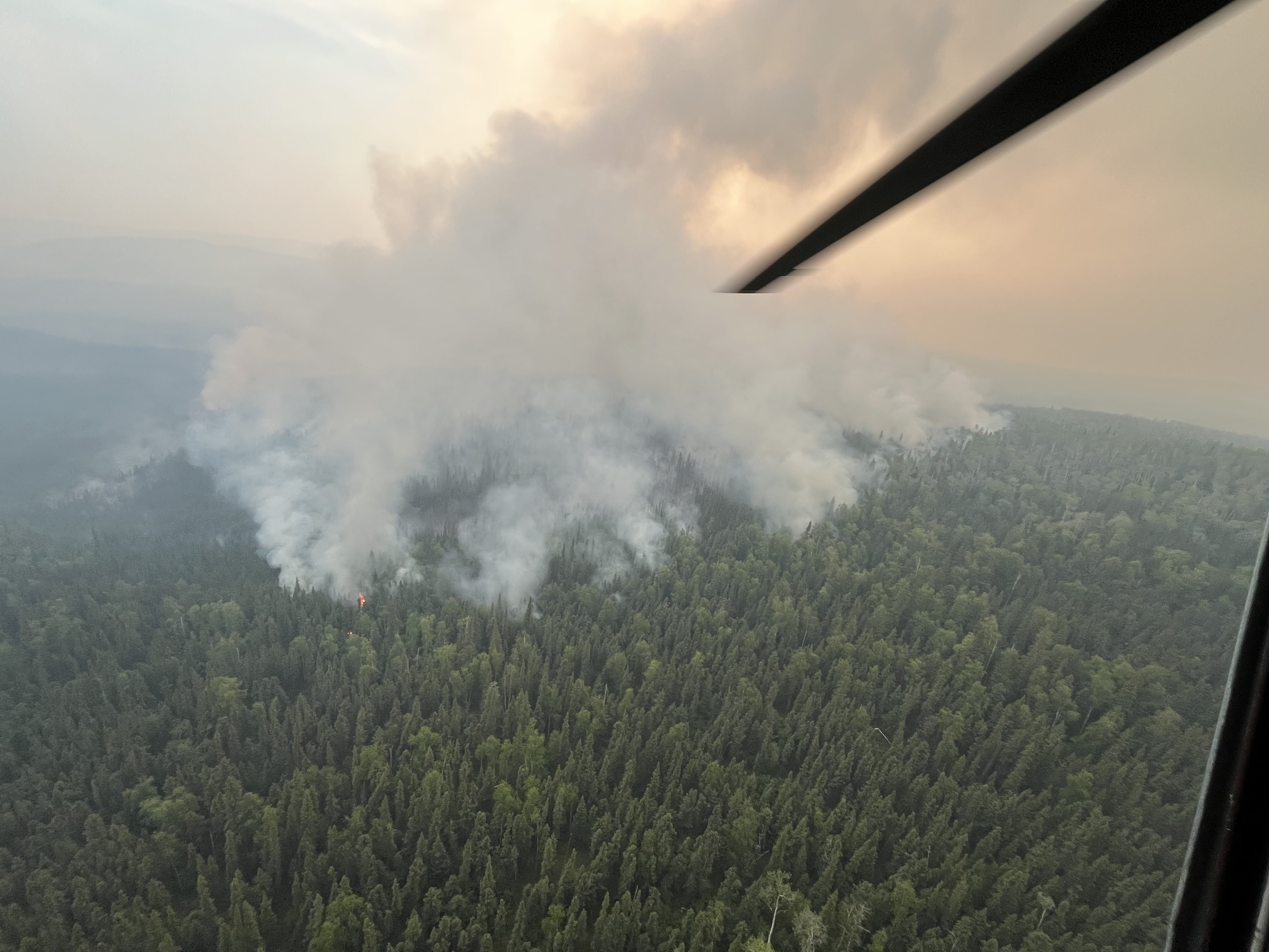 A forest with smoke coming off it, and the sun setting behind the smoke. A helicopter rotor is visible in the top right corner. 