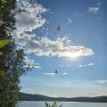 A helicopter flies above a calm lake, silhouetted against a bright blue sky with scattered clouds. It is carrying a cargo load suspended by a long line below. The sun shines through the clouds, casting reflections on the water. Tree branches frame the image from the left and bottom edges, and forested hills stretch along the horizon in the background.