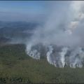 Aerial view of a wildfire burning along a forested ridge. Multiple columns of white and gray smoke rise from several active fire fronts, spreading through dense trees on the northern perimeter of the Twelvemile Lake Fire. In the distance, a large smoke plume towers over the landscape, with rolling hills and mountains extending into the horizon under a partly cloudy sky.