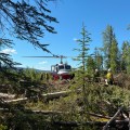 White Mountain Fire Crew being unloaded from the helicopter on the Uncle Sm Creek Fire