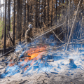 A firefighter completes a pile burn along the 7 Mile Lookout Fire.
