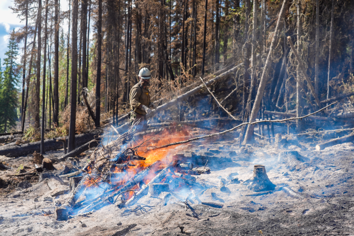 A firefighter completes a pile burn along the 7 Mile Lookout Fire.