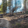 A group of firefighters works near the edge of a the 7 Mile Fire. Smoke rises from burning piles of woody debris. Fire vehicles are parked along a dirt road in the foreground, while flames and smoke are visible among the trees in the background.
