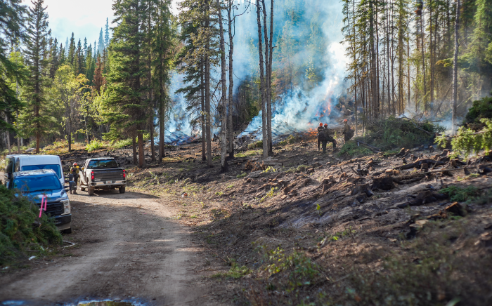 A group of firefighters works near the edge of a the 7 Mile Fire. Smoke rises from burning piles of woody debris. Fire vehicles are parked along a dirt road in the foreground, while flames and smoke are visible among the trees in the background.