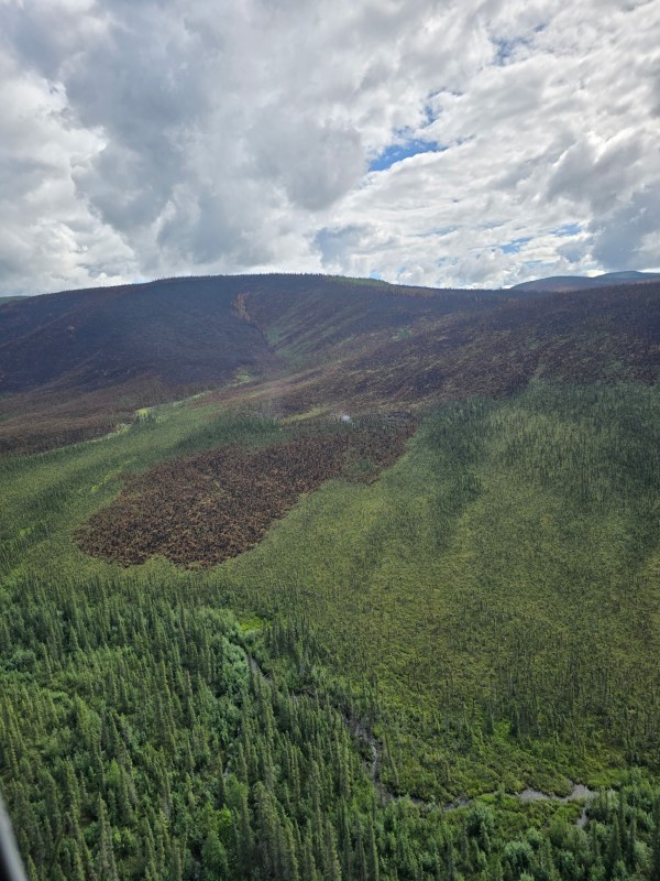Aerial View of the Uncle Sam Creek Fire (#376) from the helicopter reconnaissance mission on Thursday, July 31.