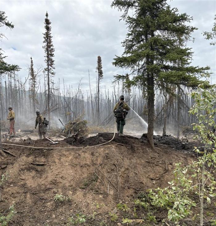 Firefighters work to cool and extinguish hotspots along the southern edge of the 7 Mile Lookout Fire.