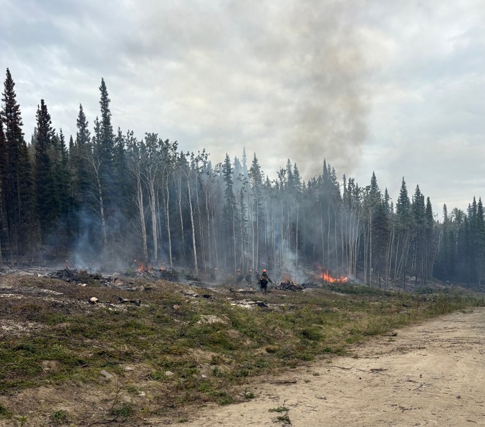 Firefighters pile hazard trees and debris along 7 Mile Lookout Road to reduce risks and prepare for safe burning.