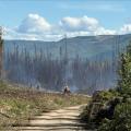 Firefighters work near the southern edge of 7 Mile Lookout Fire, as light smoke rises from recently piled trees and woody debris. They are seen along a dirt road surrounded by cleared vegetation, with green hills and partly cloudy skies in the background.