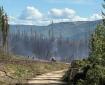 Firefighters work near the southern edge of 7 Mile Lookout Fire, as light smoke rises from recently piled trees and woody debris. They are seen along a dirt road surrounded by cleared vegetation, with green hills and partly cloudy skies in the background.