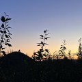 A person sitting on a hill top is silhouetted against an evening sky.