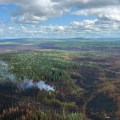Smoke rises from an isolated area in a forest seen in an aerial photo.