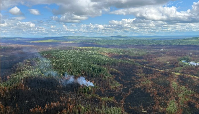 Smoke rises from an isolated area in a forest seen in an aerial photo.