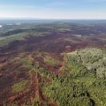 This aerial photo is looking over a forested area where a wildfire occured.