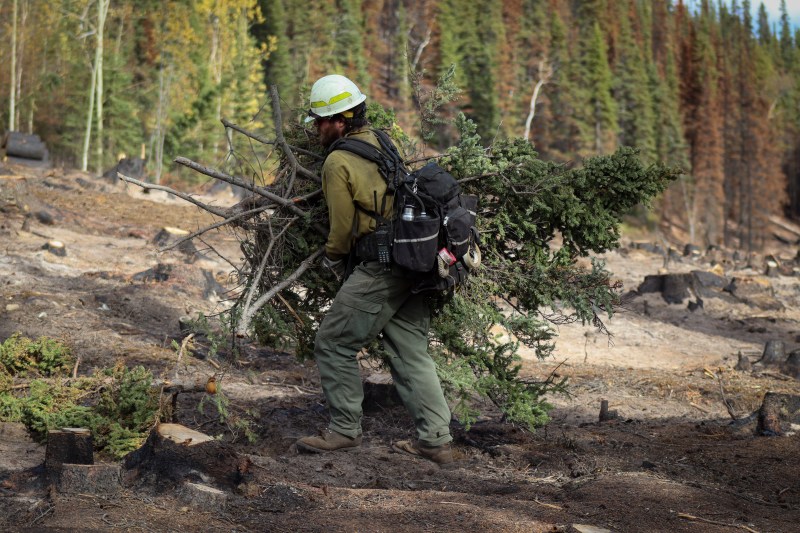 Member of the Mat-Su Crew piling brush along the 7 Mile Lookout Fire perimeter.
