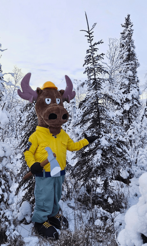 DFFP Mascot  Spruce Moose picks out a spruce Christmas tree.