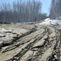 Muddy forestry roads that are impassable in Fairbanks