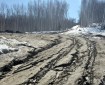 Muddy forestry roads that are impassable in Fairbanks