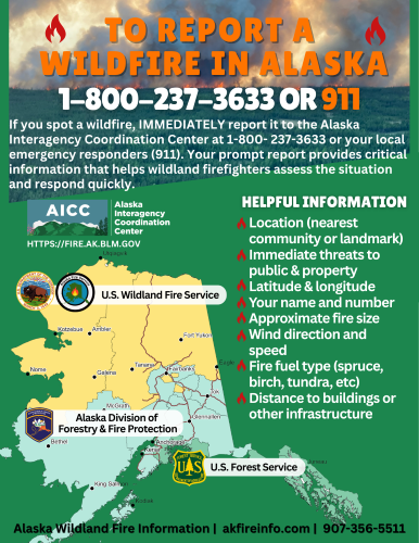 Flier showing map of Alaska and text on how to report wildfires with a photo of a forest fire at the top.