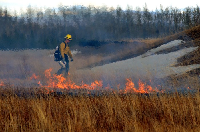 A firefighter uses a drip torch to light grass on fire.