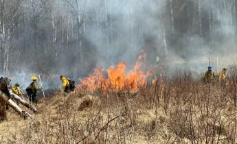 DFFP Firefighters on the 2025 Maud Road RX FIre