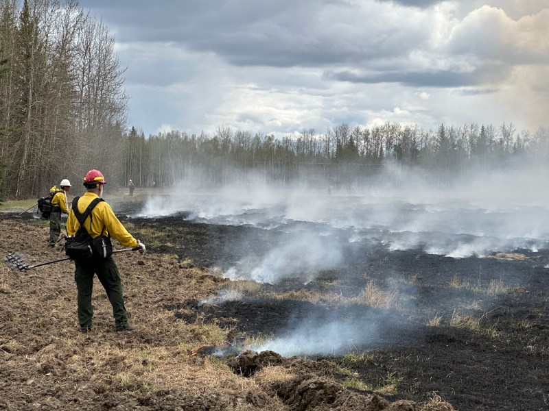 2024 - DFFP firefighters closely monitor the prescribed burn of Creamer's Field to ensure it doesn't escape.