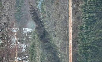 A tree smolders on an active power line.